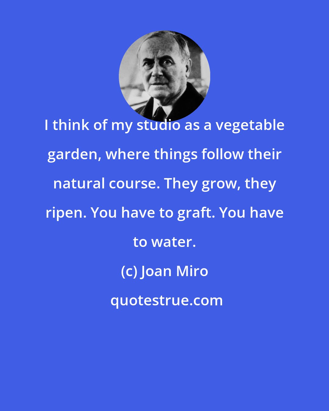 Joan Miro: I think of my studio as a vegetable garden, where things follow their natural course. They grow, they ripen. You have to graft. You have to water.