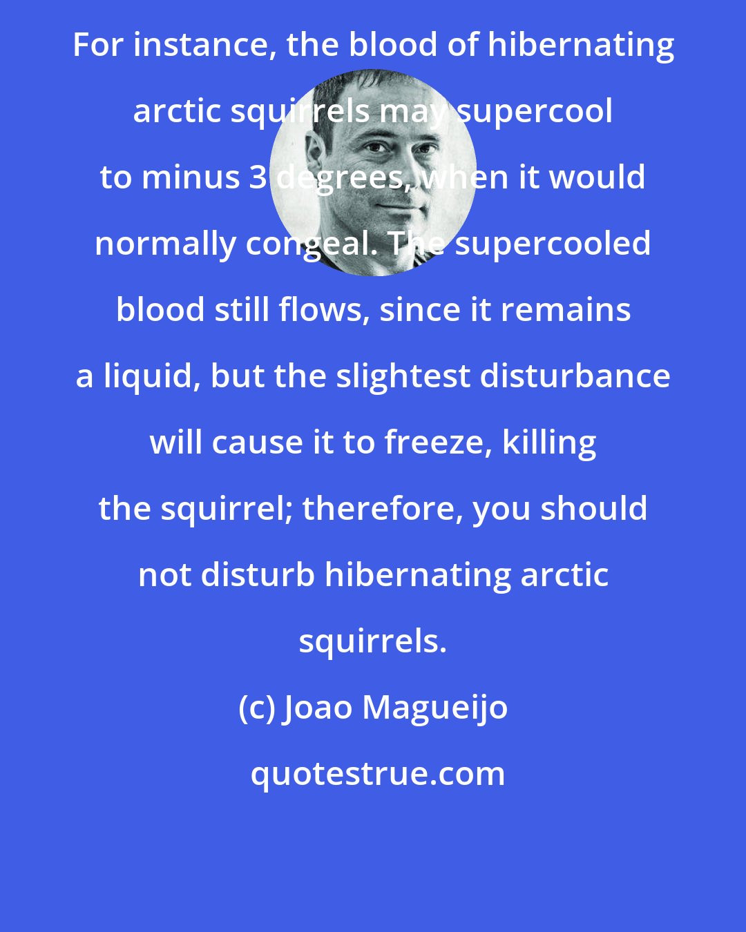 Joao Magueijo: For instance, the blood of hibernating arctic squirrels may supercool to minus 3 degrees, when it would normally congeal. The supercooled blood still flows, since it remains a liquid, but the slightest disturbance will cause it to freeze, killing the squirrel; therefore, you should not disturb hibernating arctic squirrels.