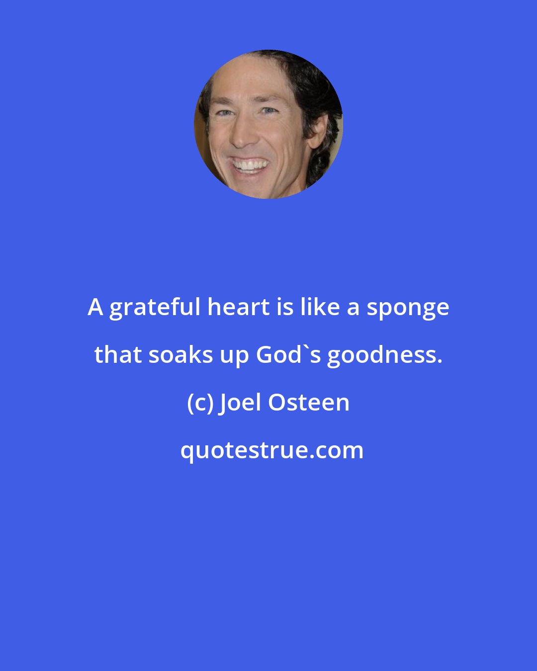 Joel Osteen: A grateful heart is like a sponge that soaks up God's goodness.