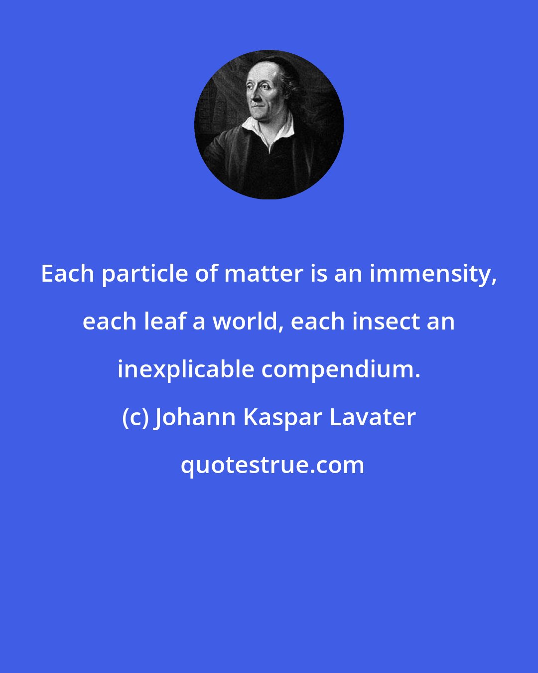 Johann Kaspar Lavater: Each particle of matter is an immensity, each leaf a world, each insect an inexplicable compendium.