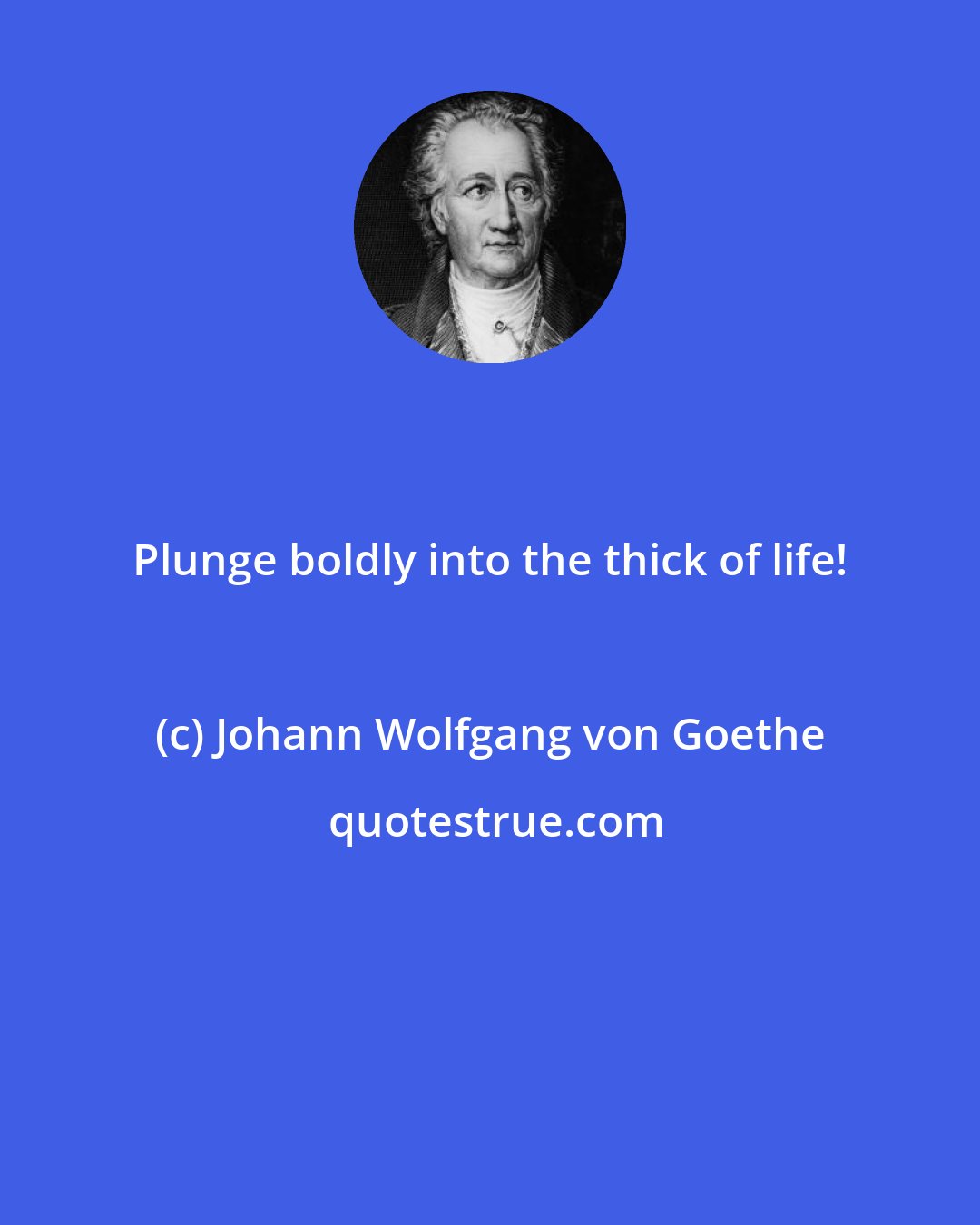 Johann Wolfgang von Goethe: Plunge boldly into the thick of life!