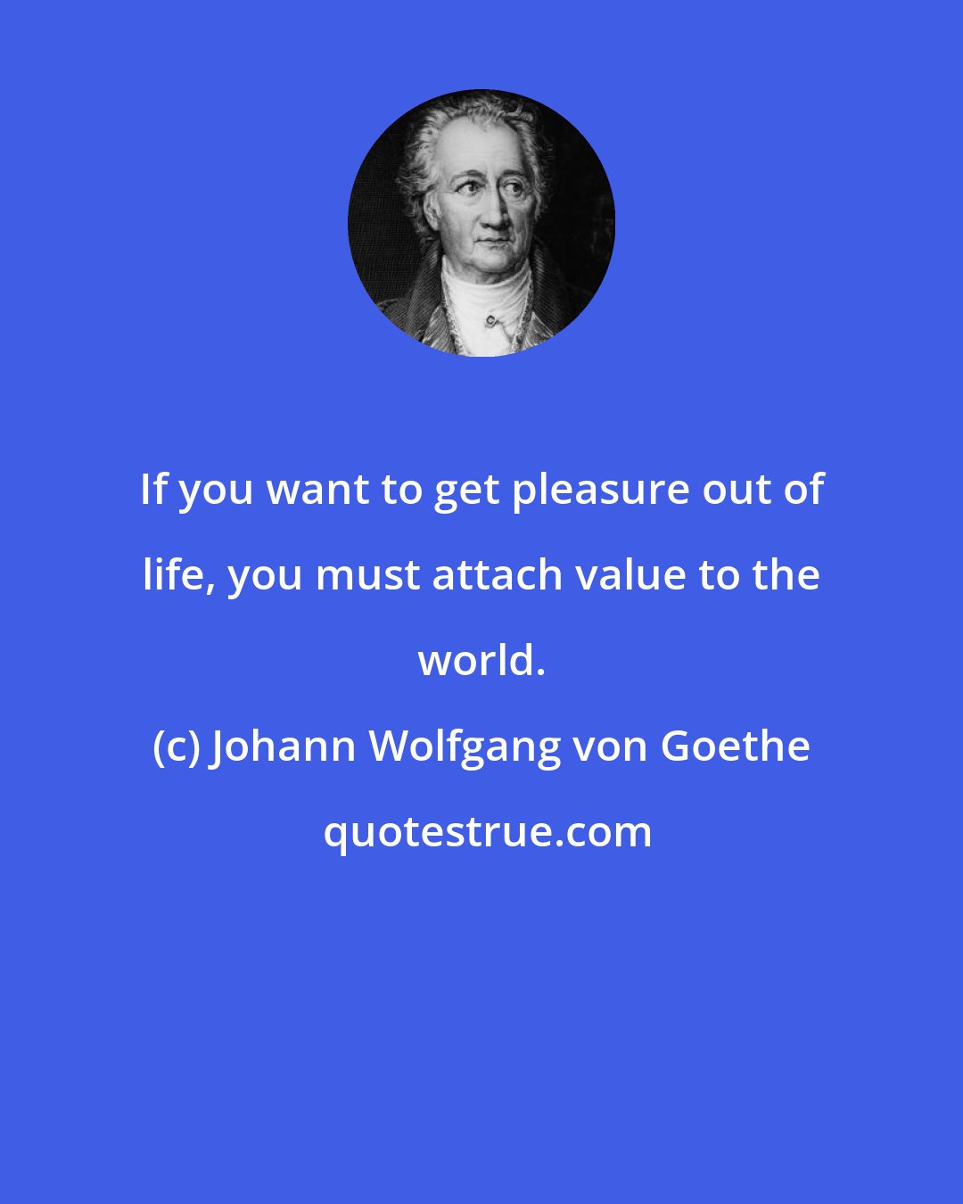 Johann Wolfgang von Goethe: If you want to get pleasure out of life, you must attach value to the world.
