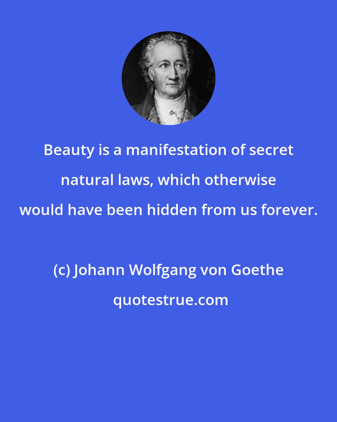 Johann Wolfgang von Goethe: Beauty is a manifestation of secret natural laws, which otherwise would have been hidden from us forever.