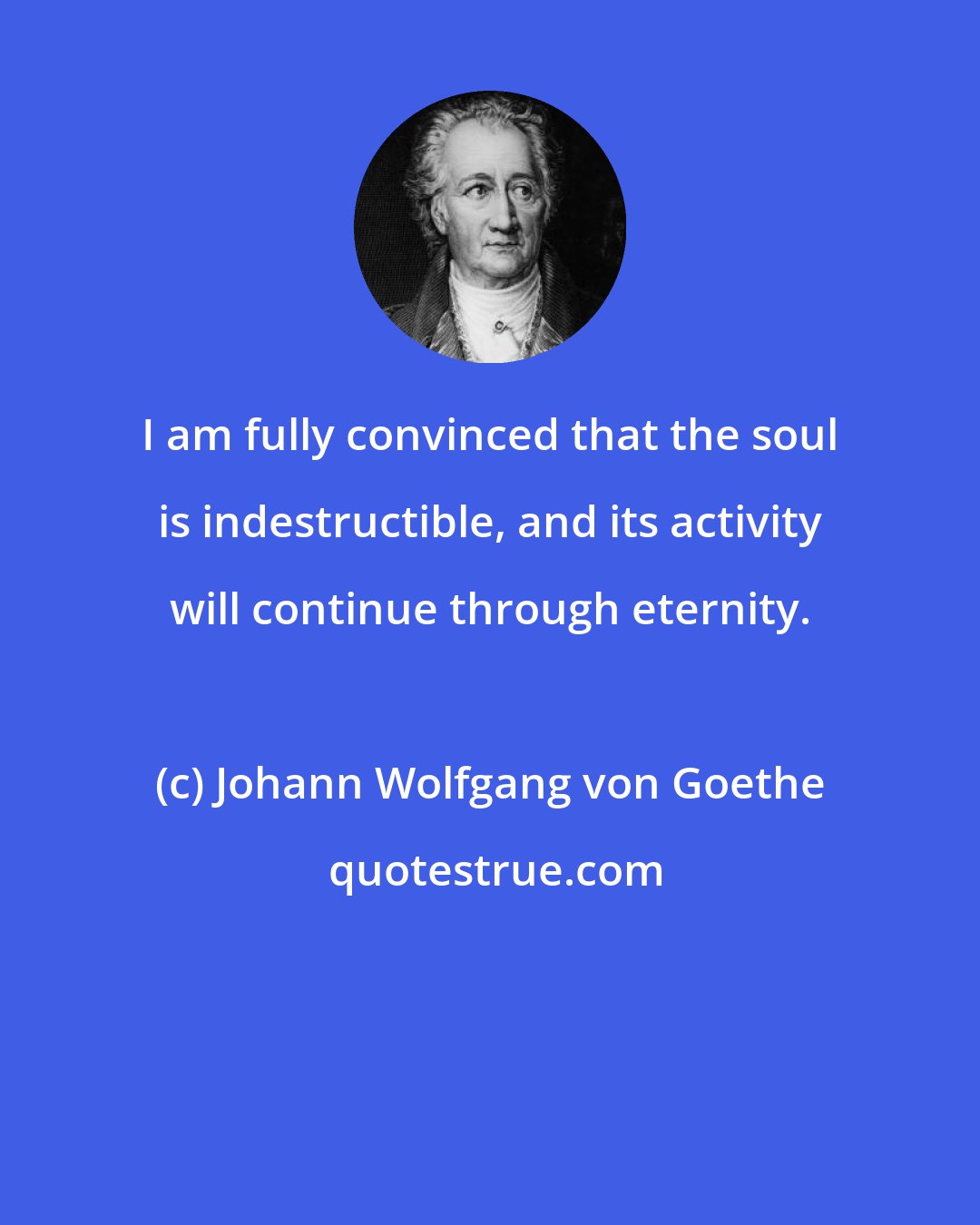 Johann Wolfgang von Goethe: I am fully convinced that the soul is indestructible, and its activity will continue through eternity.