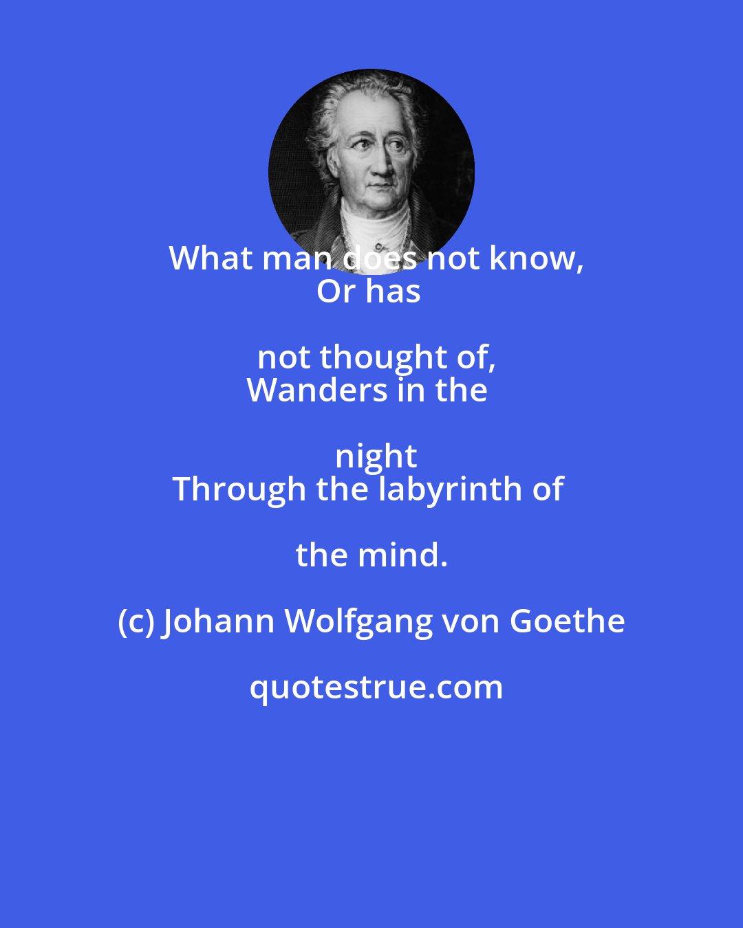 Johann Wolfgang von Goethe: What man does not know,
Or has not thought of,
Wanders in the night
Through the labyrinth of the mind.