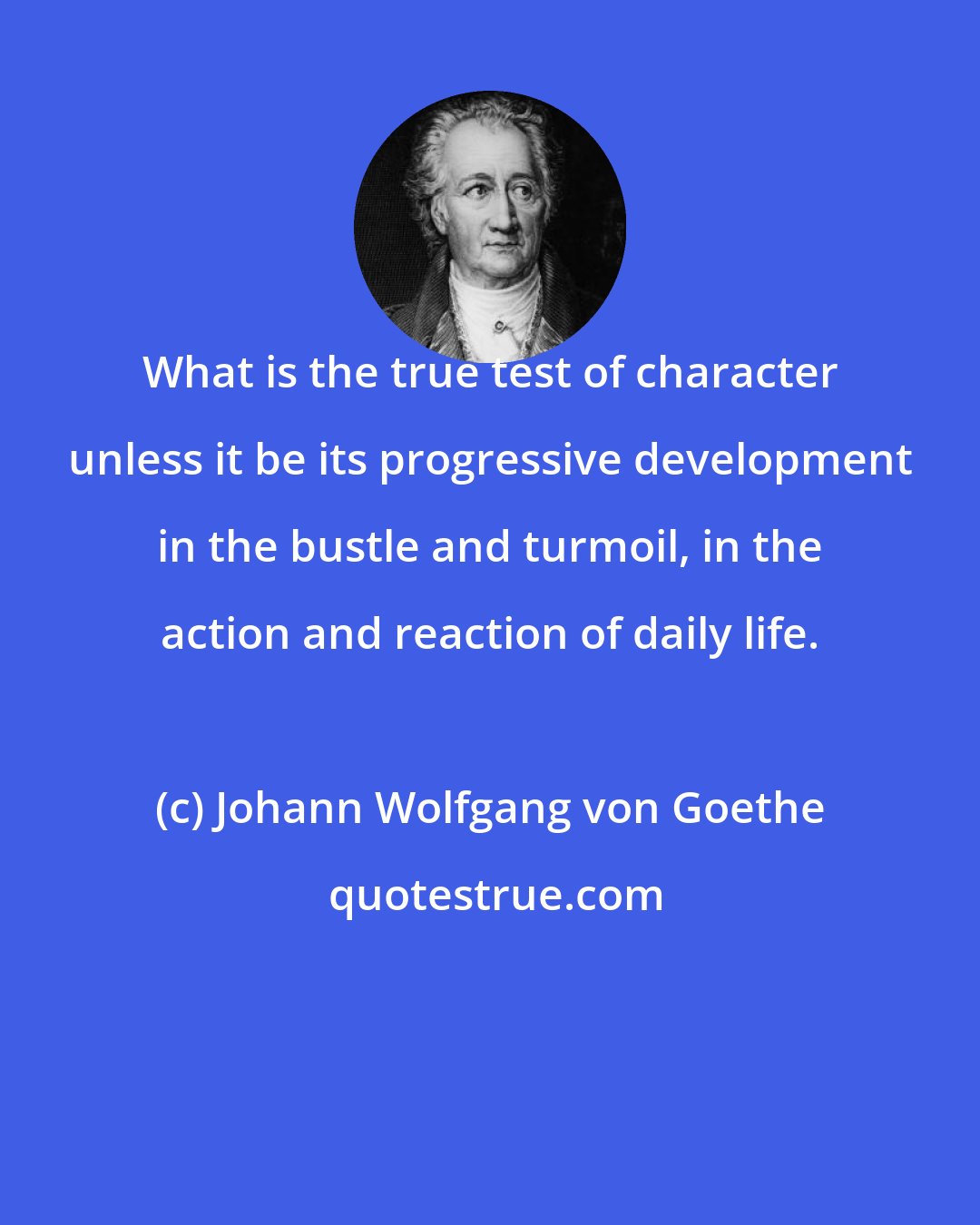 Johann Wolfgang von Goethe: What is the true test of character unless it be its progressive development in the bustle and turmoil, in the action and reaction of daily life.