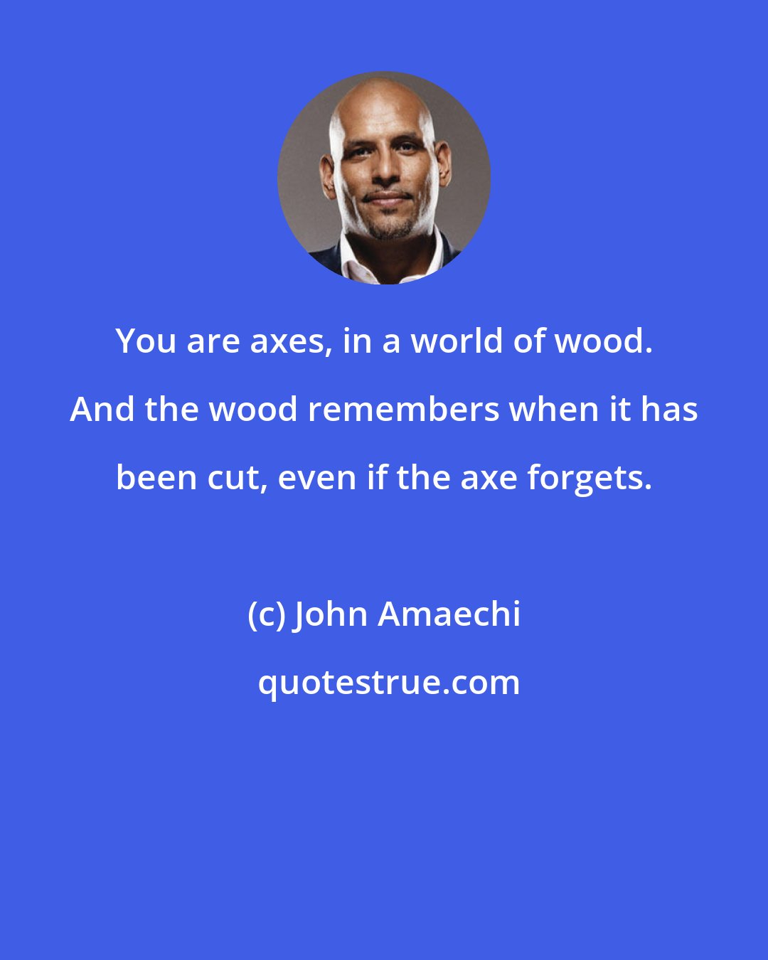 John Amaechi: You are axes, in a world of wood. And the wood remembers when it has been cut, even if the axe forgets.