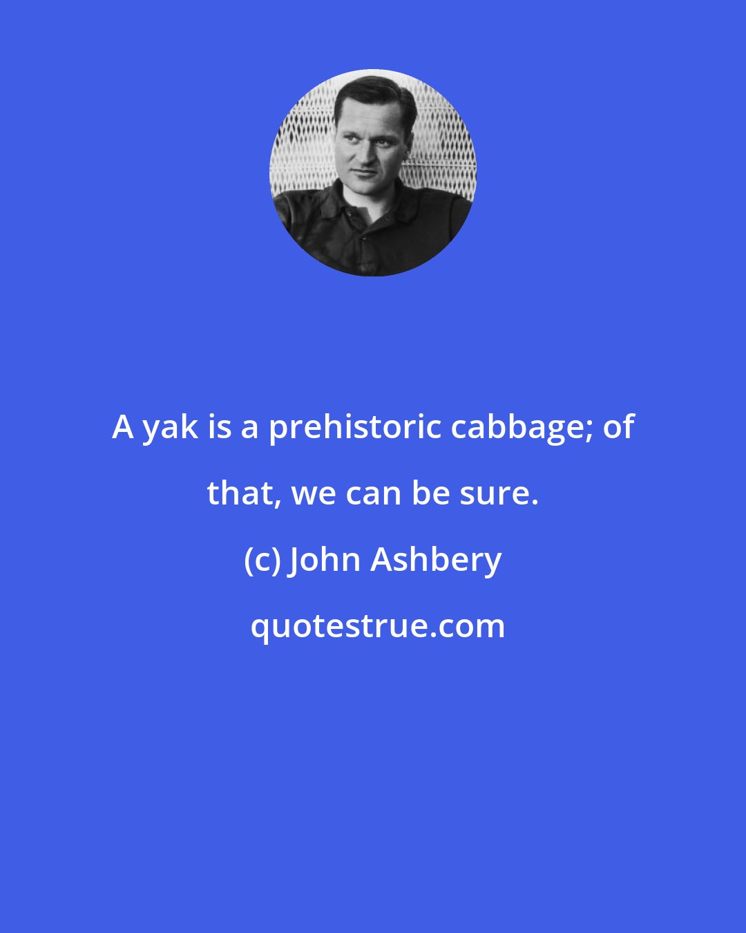 John Ashbery: A yak is a prehistoric cabbage; of that, we can be sure.