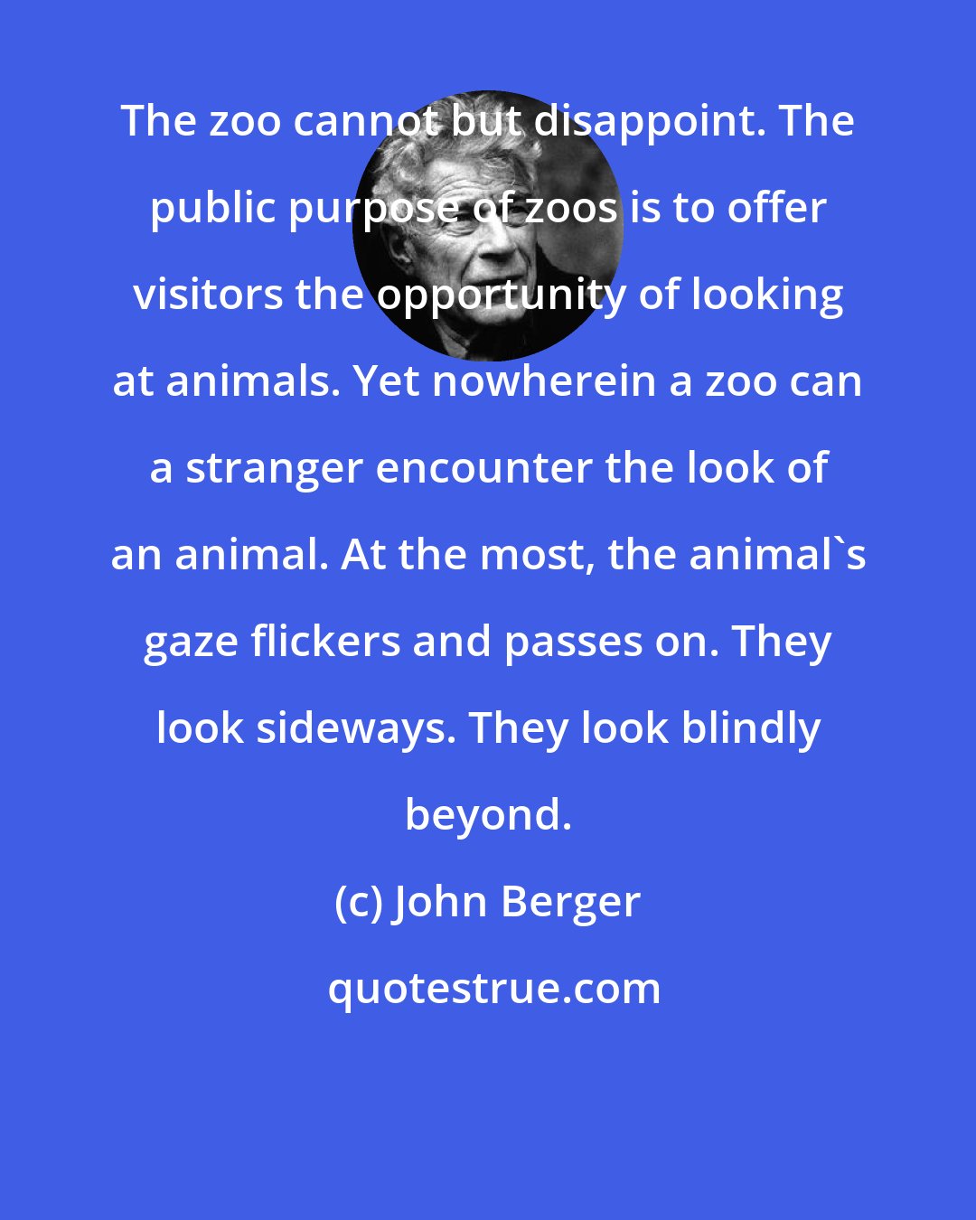 John Berger: The zoo cannot but disappoint. The public purpose of zoos is to offer visitors the opportunity of looking at animals. Yet nowherein a zoo can a stranger encounter the look of an animal. At the most, the animal's gaze flickers and passes on. They look sideways. They look blindly beyond.