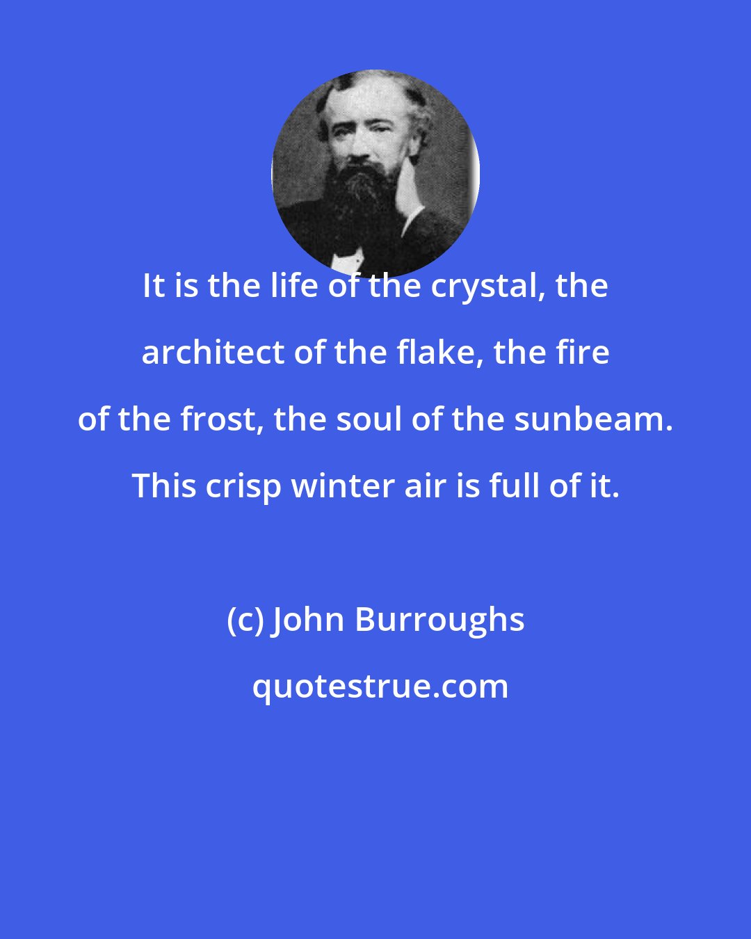 John Burroughs: It is the life of the crystal, the architect of the flake, the fire of the frost, the soul of the sunbeam. This crisp winter air is full of it.