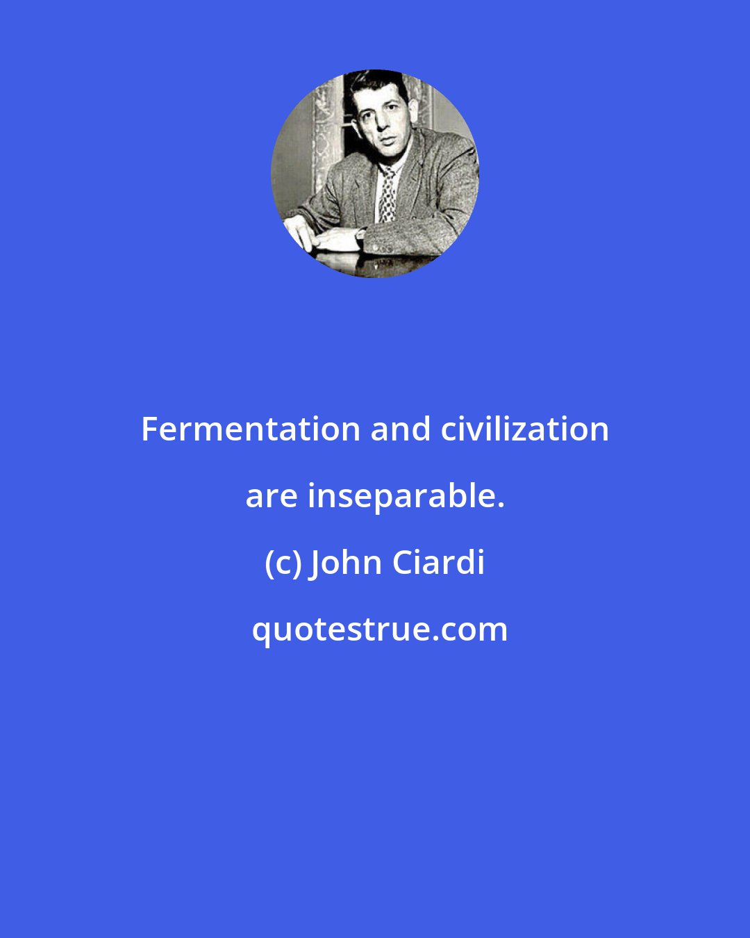 John Ciardi: Fermentation and civilization are inseparable.