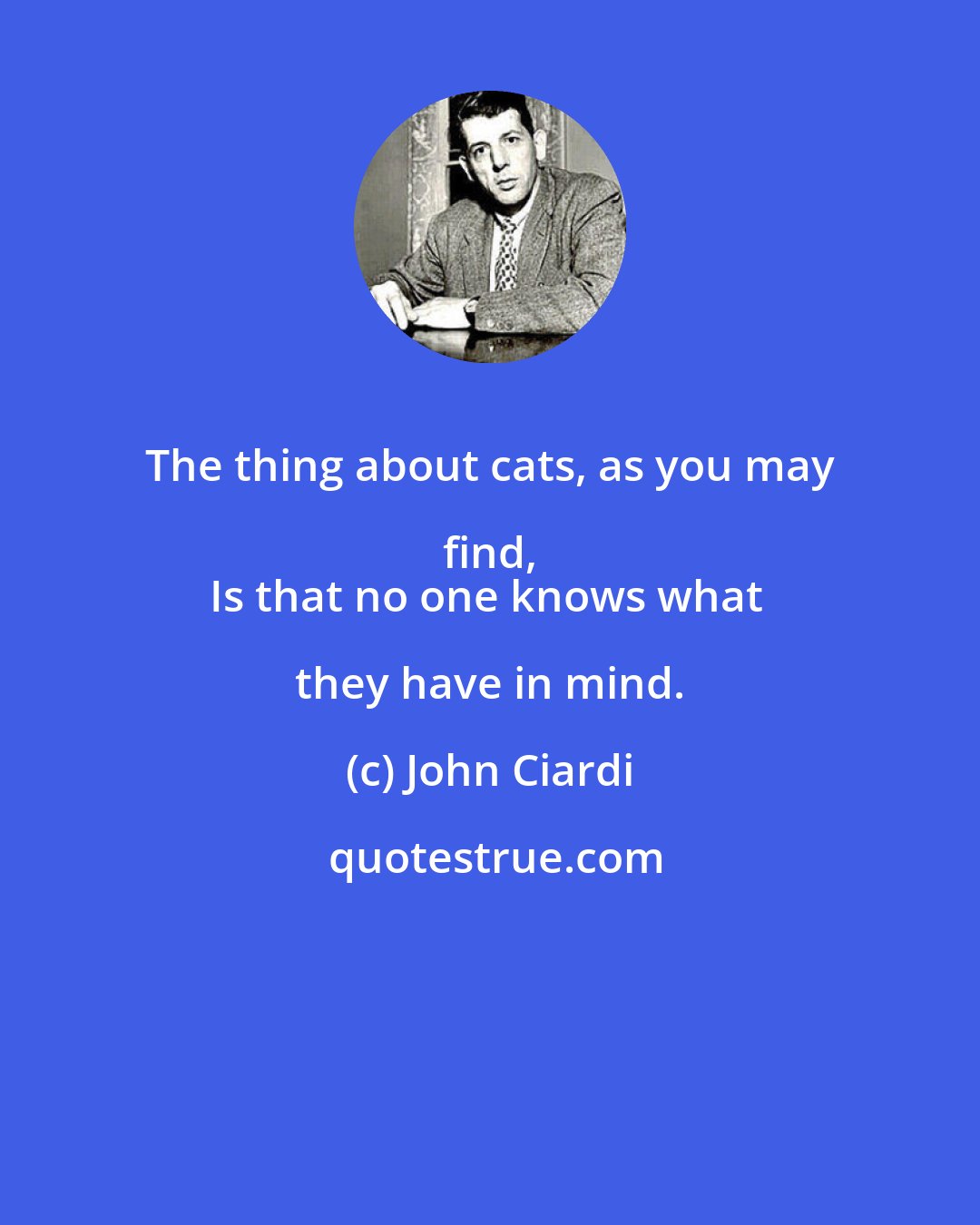 John Ciardi: The thing about cats, as you may find, 
Is that no one knows what they have in mind.