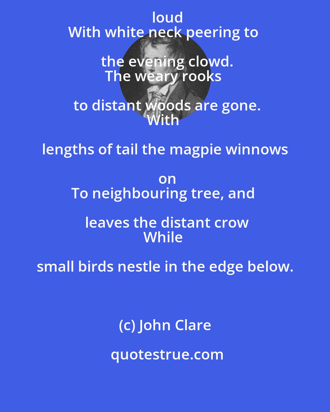 John Clare: The wild swan hurries hight and noises loud
With white neck peering to the evening clowd.
The weary rooks to distant woods are gone.
With lengths of tail the magpie winnows on
To neighbouring tree, and leaves the distant crow
While small birds nestle in the edge below.