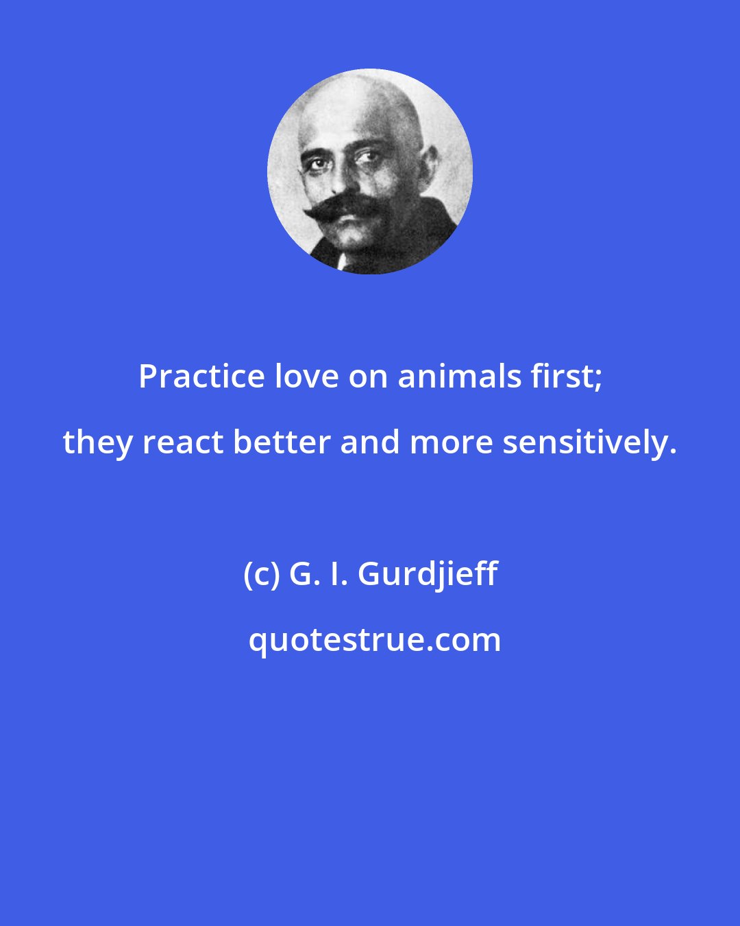 G. I. Gurdjieff: Practice love on animals first; they react better and more sensitively.