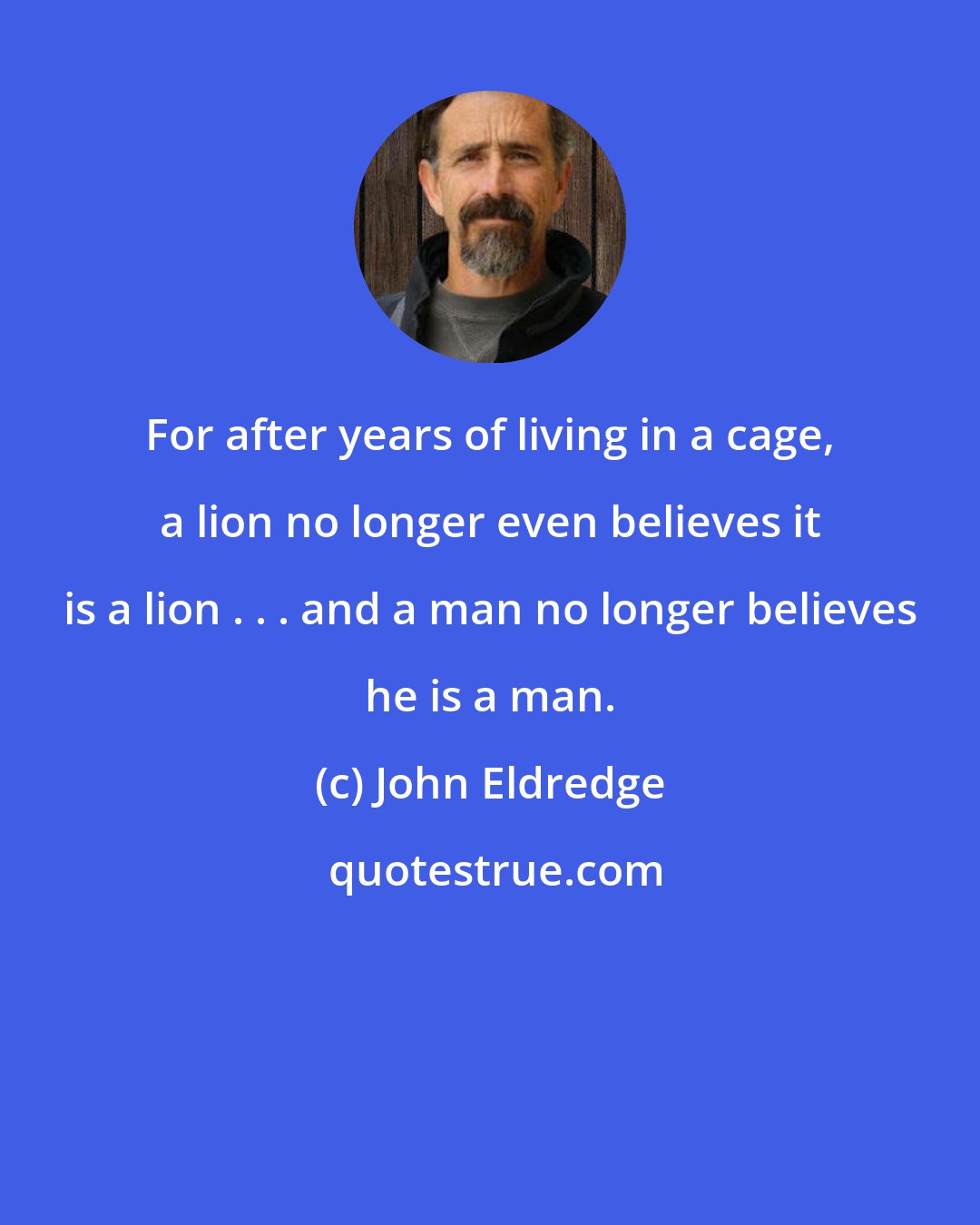 John Eldredge: For after years of living in a cage, a lion no longer even believes it is a lion . . . and a man no longer believes he is a man.