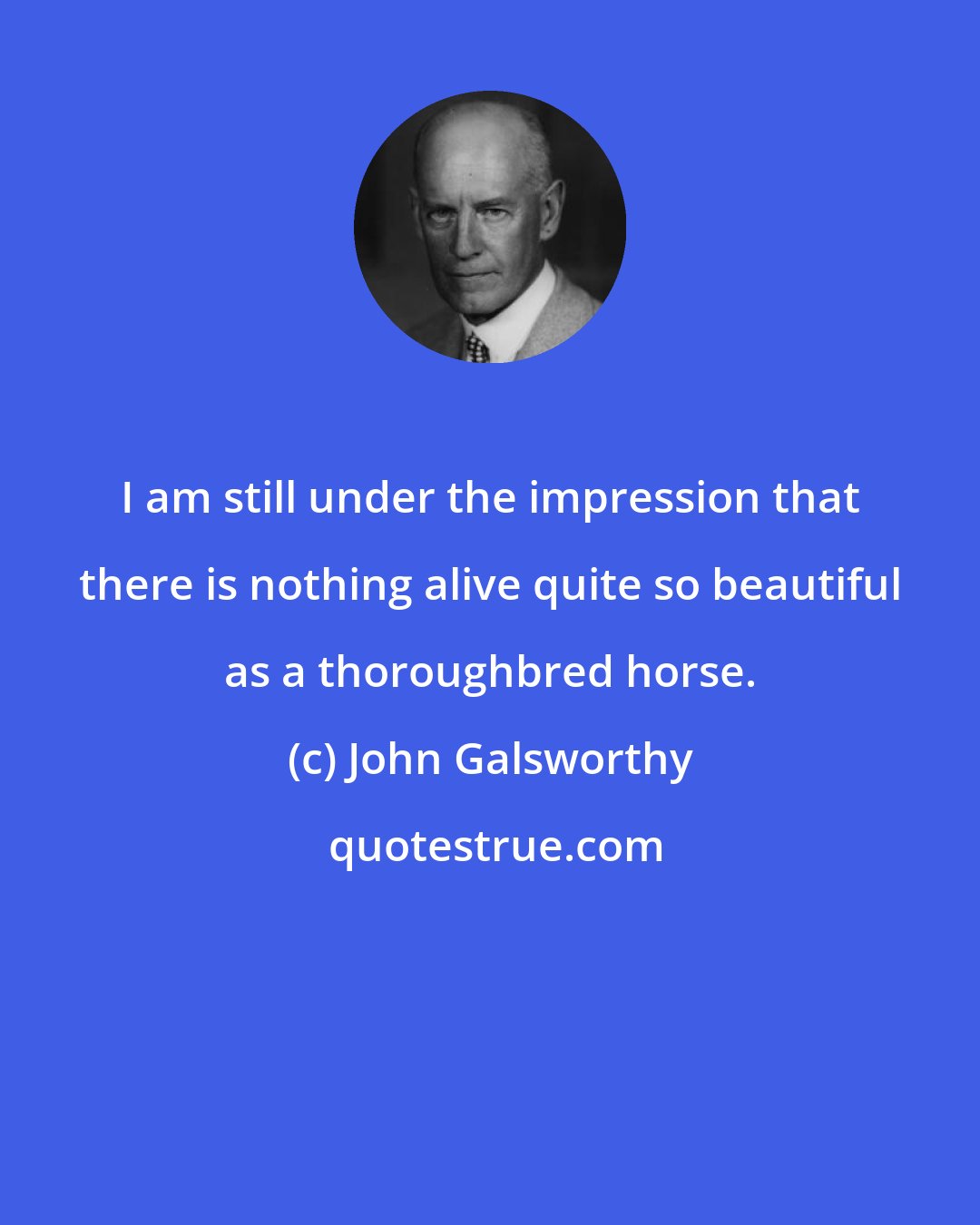 John Galsworthy: I am still under the impression that there is nothing alive quite so beautiful as a thoroughbred horse.