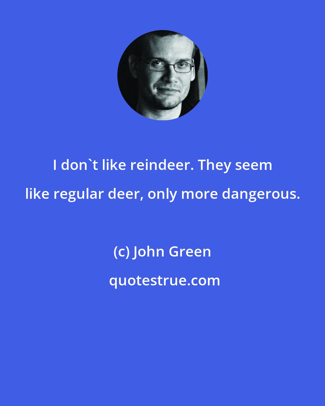 John Green: I don't like reindeer. They seem like regular deer, only more dangerous.