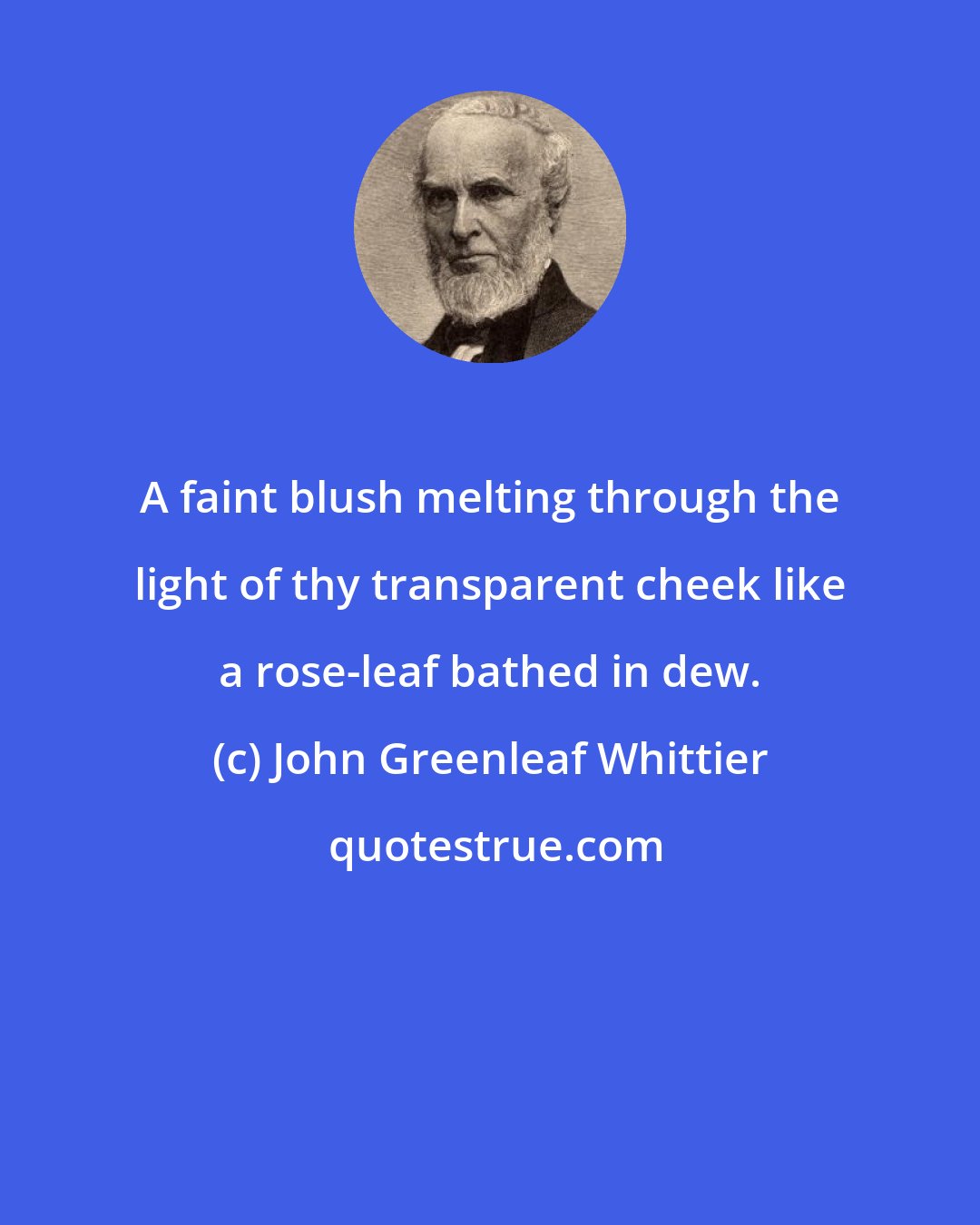 John Greenleaf Whittier: A faint blush melting through the light of thy transparent cheek like a rose-leaf bathed in dew.