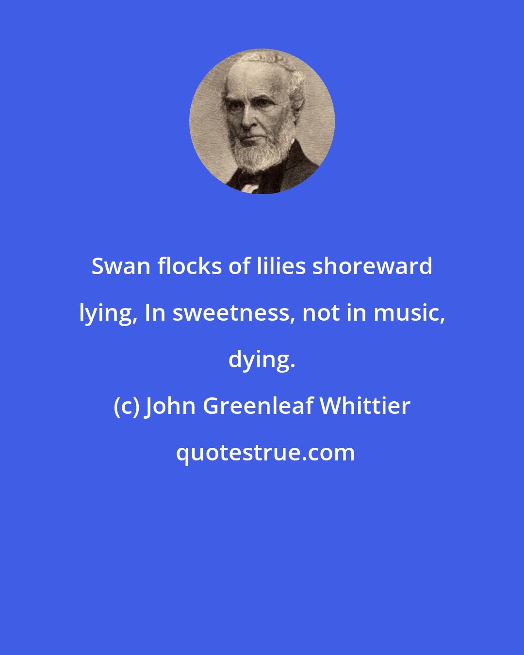 John Greenleaf Whittier: Swan flocks of lilies shoreward lying, In sweetness, not in music, dying.