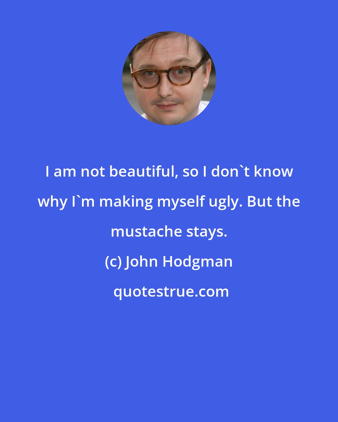 John Hodgman: I am not beautiful, so I don't know why I'm making myself ugly. But the mustache stays.