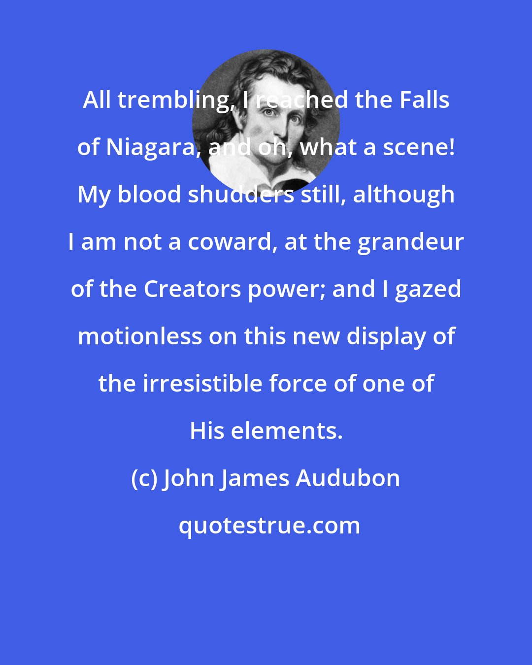 John James Audubon: All trembling, I reached the Falls of Niagara, and oh, what a scene! My blood shudders still, although I am not a coward, at the grandeur of the Creators power; and I gazed motionless on this new display of the irresistible force of one of His elements.