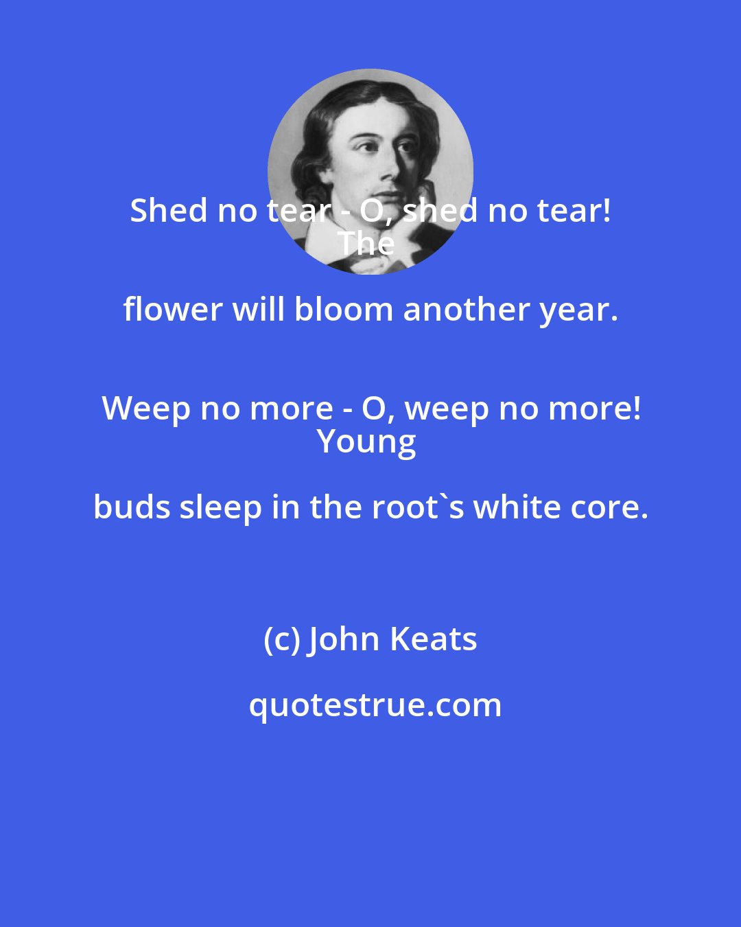 John Keats: Shed no tear - O, shed no tear! 
The flower will bloom another year. 
Weep no more - O, weep no more!
Young buds sleep in the root's white core.