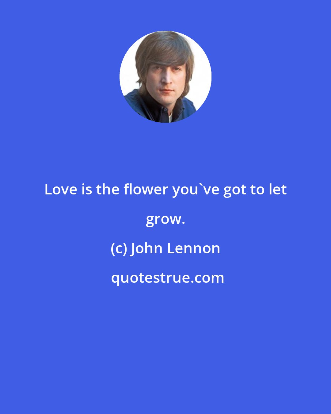 John Lennon: Love is the flower you've got to let grow.