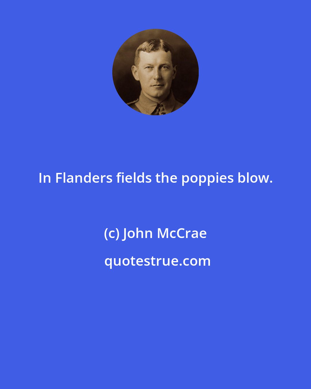 John McCrae: In Flanders fields the poppies blow.