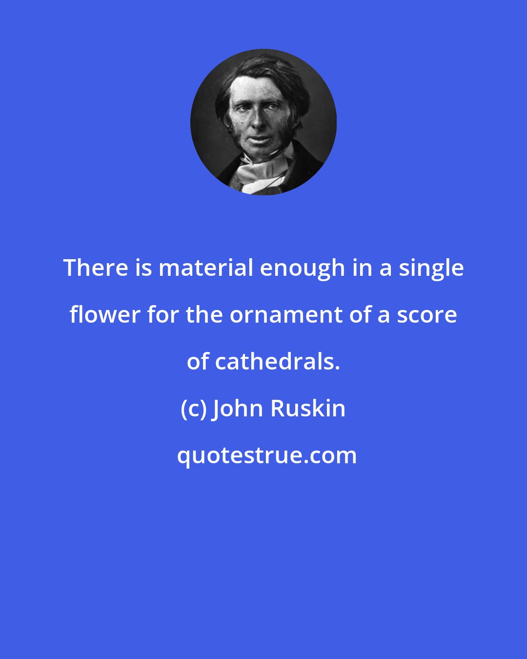 John Ruskin: There is material enough in a single flower for the ornament of a score of cathedrals.