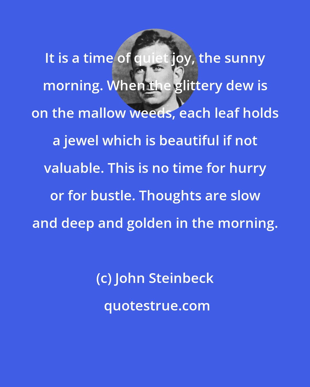 John Steinbeck: It is a time of quiet joy, the sunny morning. When the glittery dew is on the mallow weeds, each leaf holds a jewel which is beautiful if not valuable. This is no time for hurry or for bustle. Thoughts are slow and deep and golden in the morning.