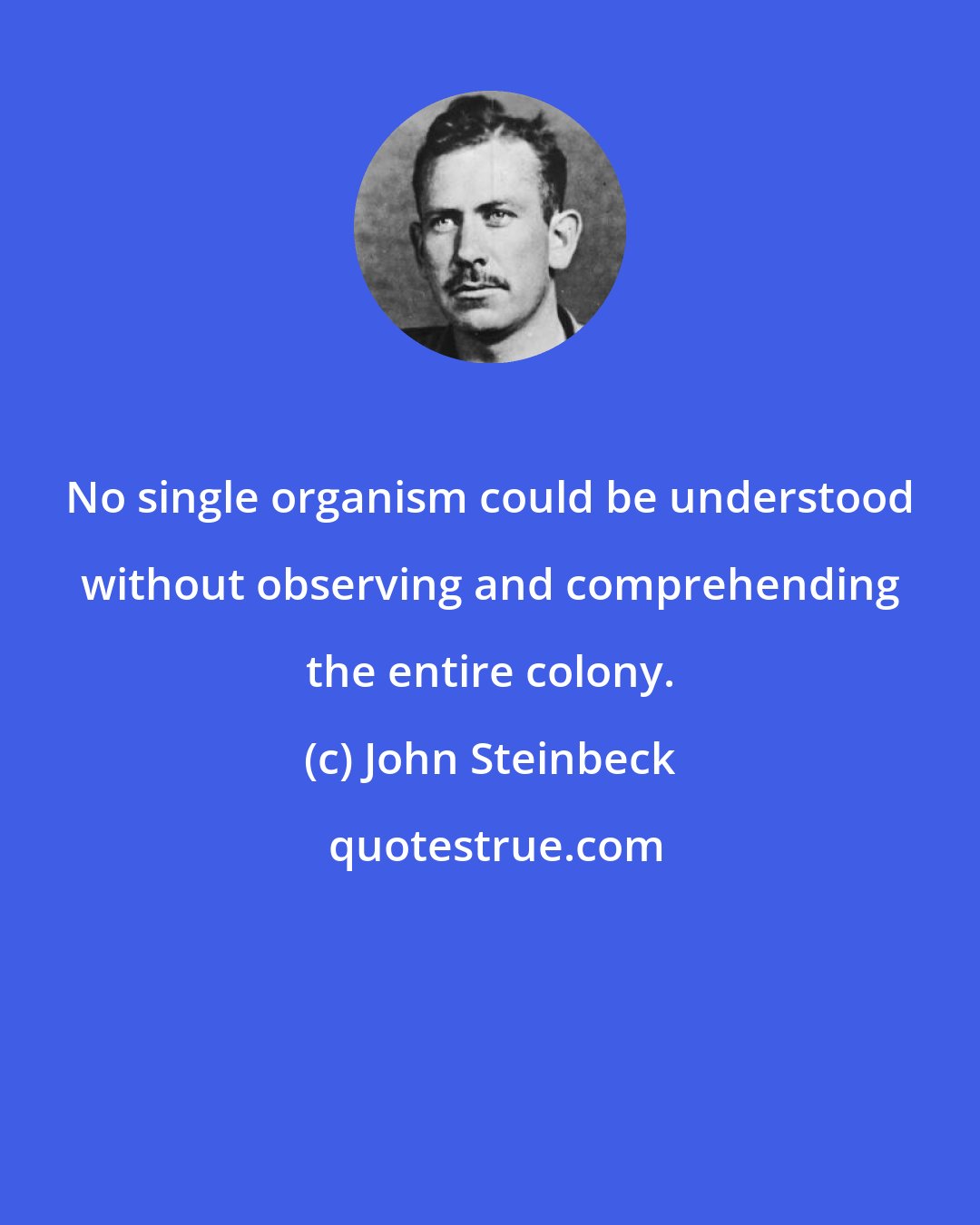 John Steinbeck: No single organism could be understood without observing and comprehending the entire colony.