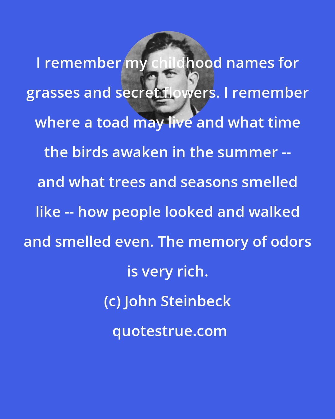 John Steinbeck: I remember my childhood names for grasses and secret flowers. I remember where a toad may live and what time the birds awaken in the summer -- and what trees and seasons smelled like -- how people looked and walked and smelled even. The memory of odors is very rich.