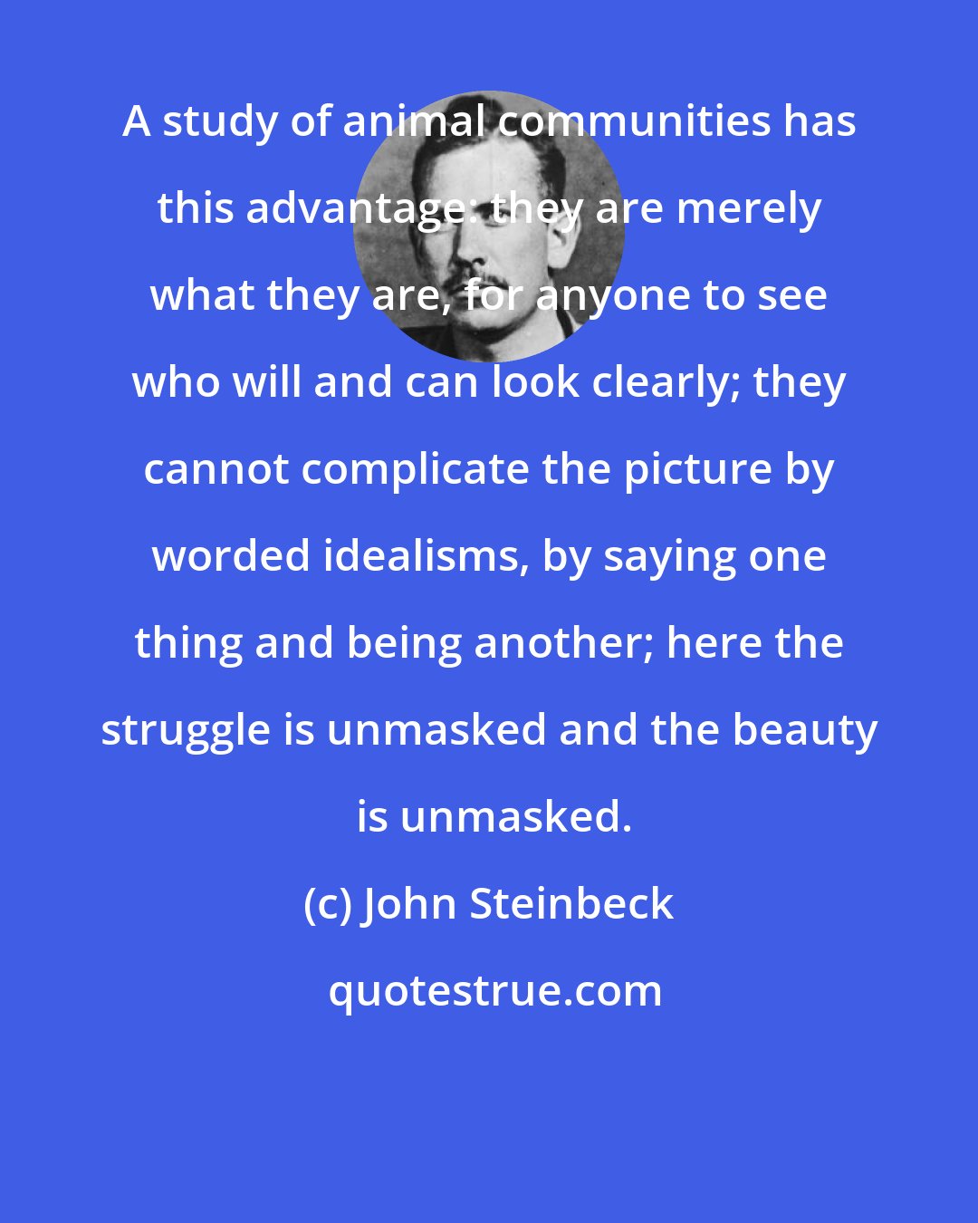 John Steinbeck: A study of animal communities has this advantage: they are merely what they are, for anyone to see who will and can look clearly; they cannot complicate the picture by worded idealisms, by saying one thing and being another; here the struggle is unmasked and the beauty  is unmasked.