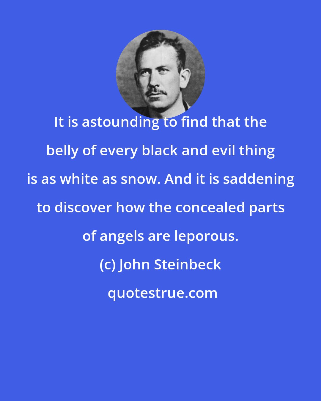 John Steinbeck: It is astounding to find that the belly of every black and evil thing is as white as snow. And it is saddening to discover how the concealed parts of angels are leporous.