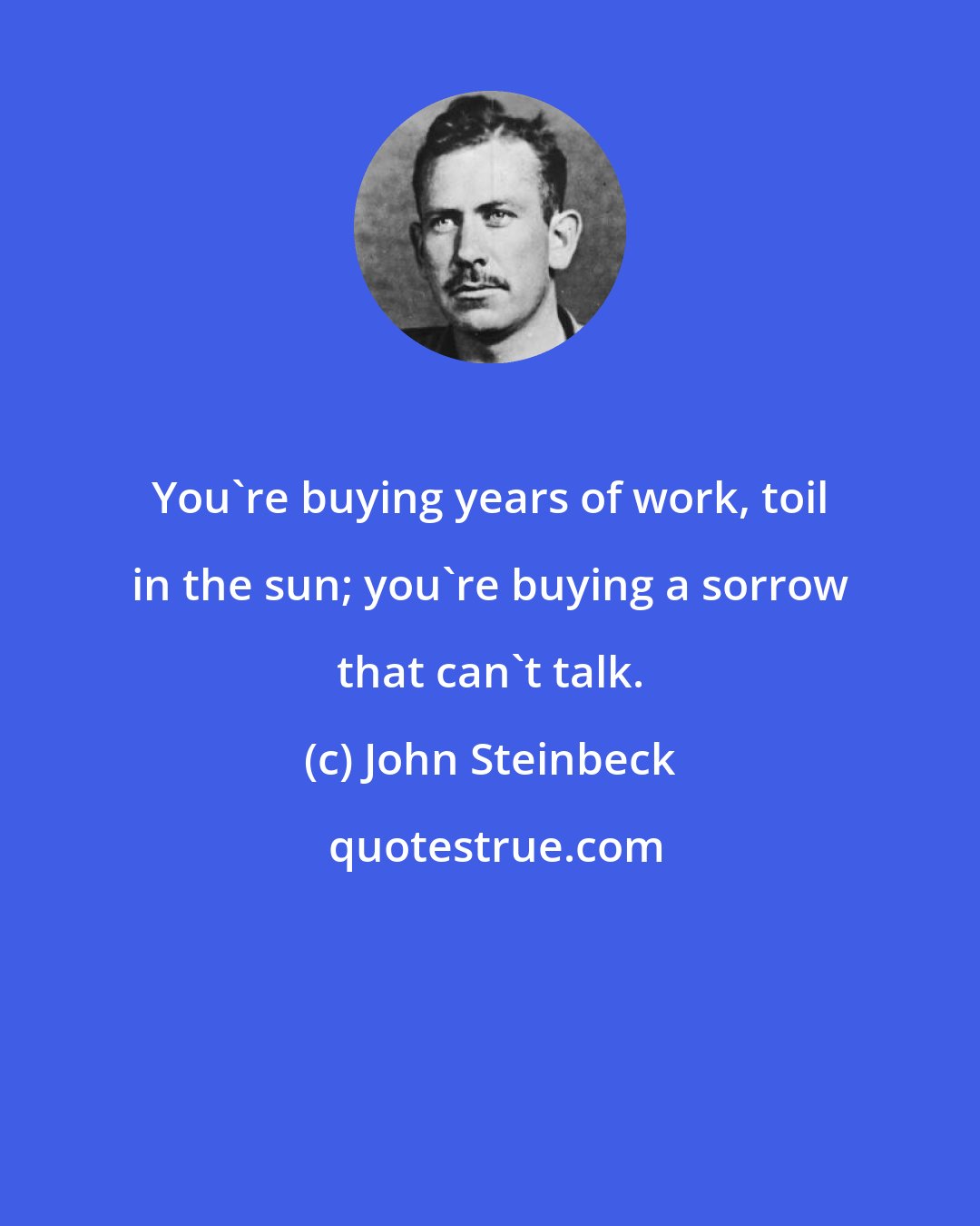 John Steinbeck: You're buying years of work, toil in the sun; you're buying a sorrow that can't talk.