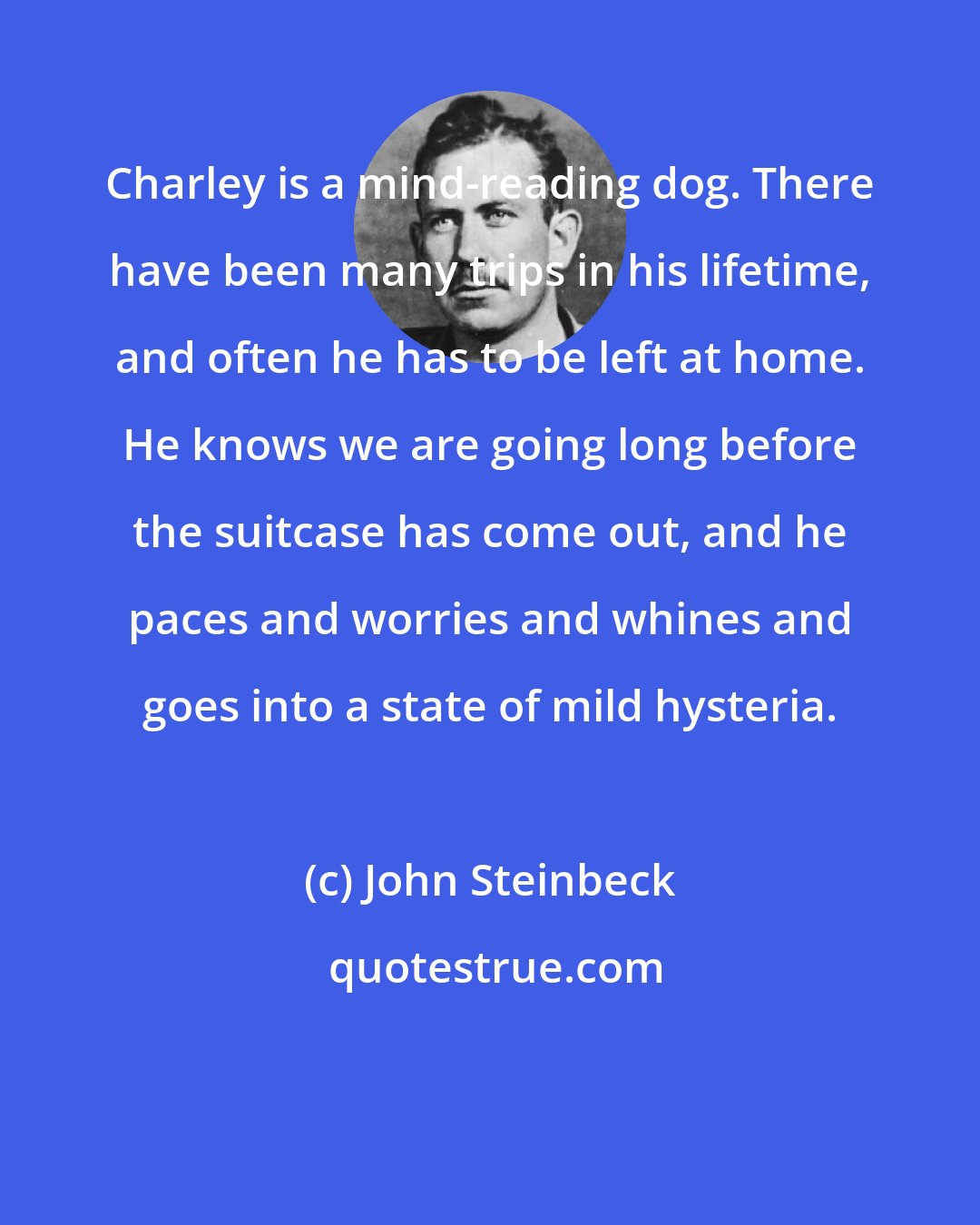 John Steinbeck: Charley is a mind-reading dog. There have been many trips in his lifetime, and often he has to be left at home. He knows we are going long before the suitcase has come out, and he paces and worries and whines and goes into a state of mild hysteria.