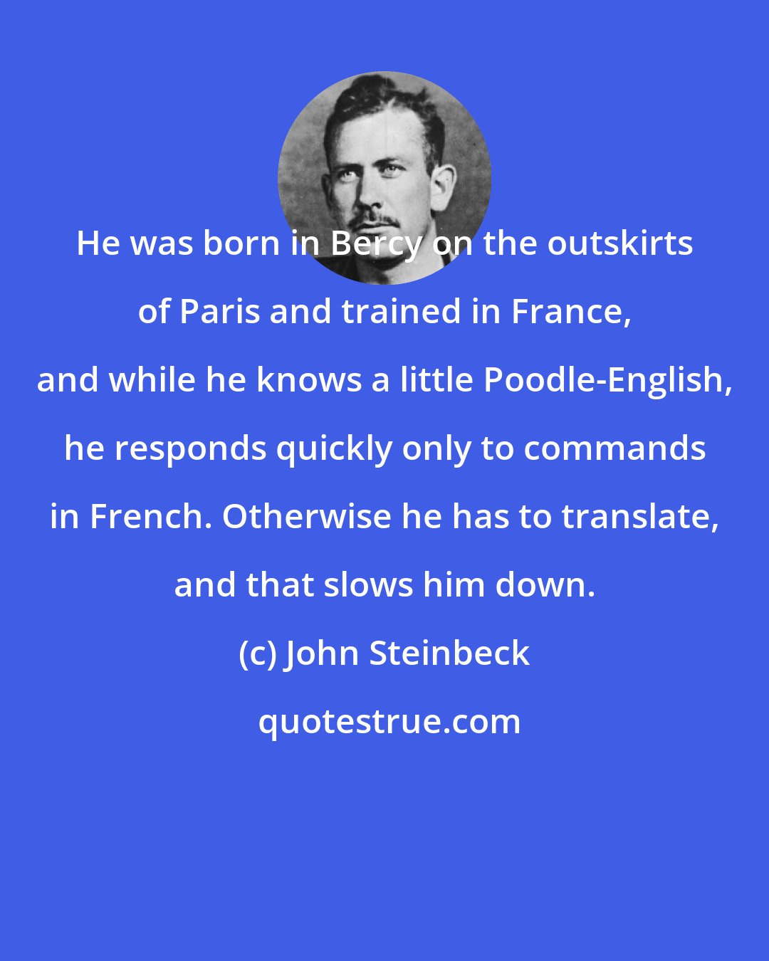 John Steinbeck: He was born in Bercy on the outskirts of Paris and trained in France, and while he knows a little Poodle-English, he responds quickly only to commands in French. Otherwise he has to translate, and that slows him down.