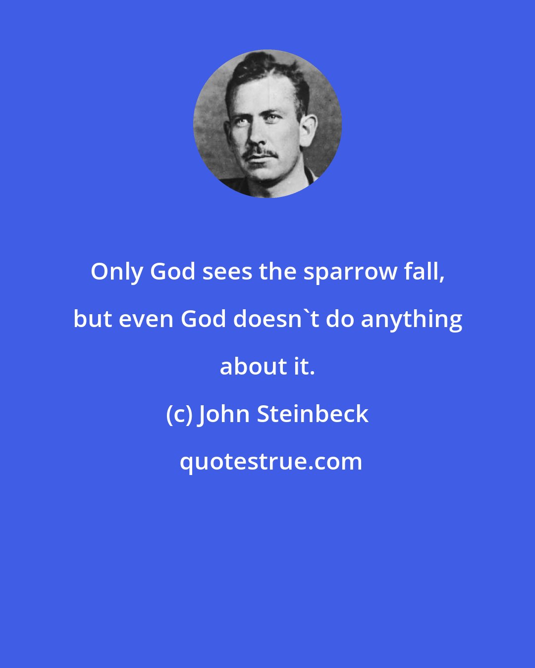 John Steinbeck: Only God sees the sparrow fall, but even God doesn't do anything about it.