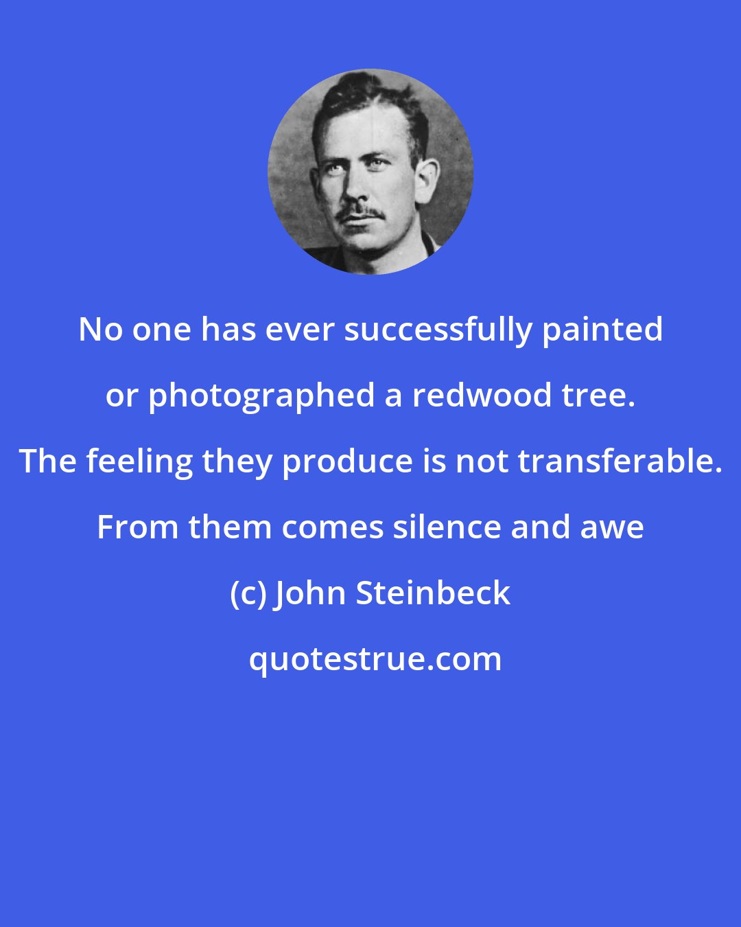 John Steinbeck: No one has ever successfully painted or photographed a redwood tree. The feeling they produce is not transferable. From them comes silence and awe