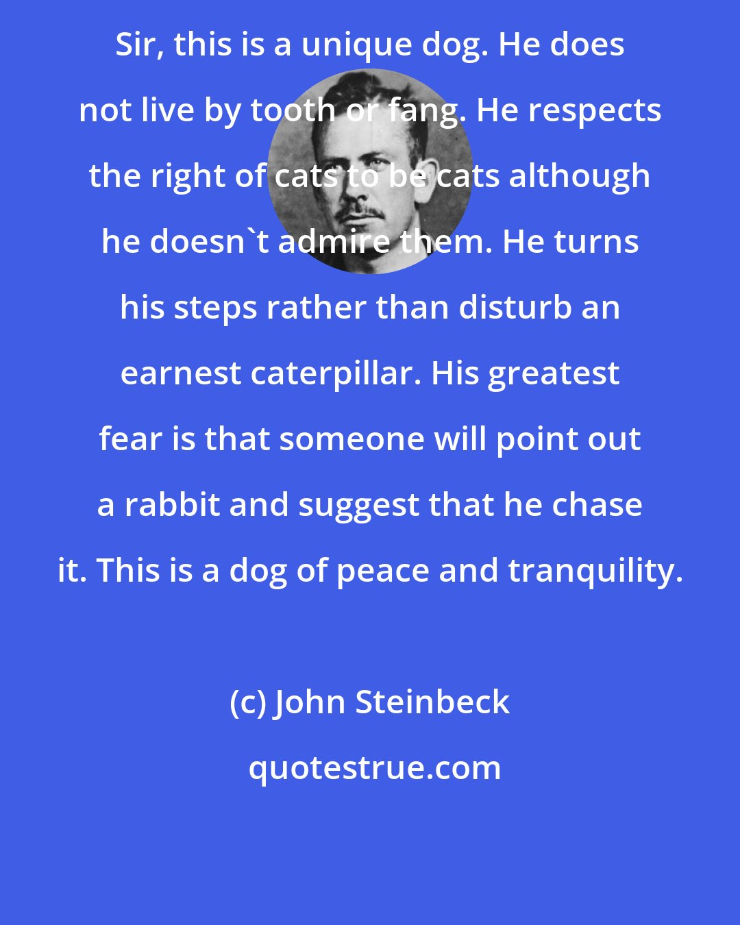 John Steinbeck: Sir, this is a unique dog. He does not live by tooth or fang. He respects the right of cats to be cats although he doesn't admire them. He turns his steps rather than disturb an earnest caterpillar. His greatest fear is that someone will point out a rabbit and suggest that he chase it. This is a dog of peace and tranquility.