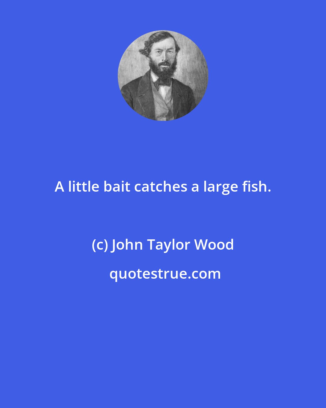 John Taylor Wood: A little bait catches a large fish.