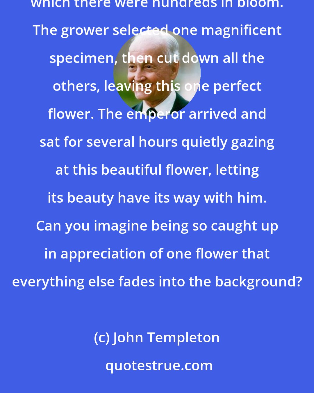 John Templeton: A grower of chrysanthemums awaited a visit from the emperor, who was coming to enjoy his blossoms, of which there were hundreds in bloom. The grower selected one magnificent specimen, then cut down all the others, leaving this one perfect flower. The emperor arrived and sat for several hours quietly gazing at this beautiful flower, letting its beauty have its way with him. Can you imagine being so caught up in appreciation of one flower that everything else fades into the background?