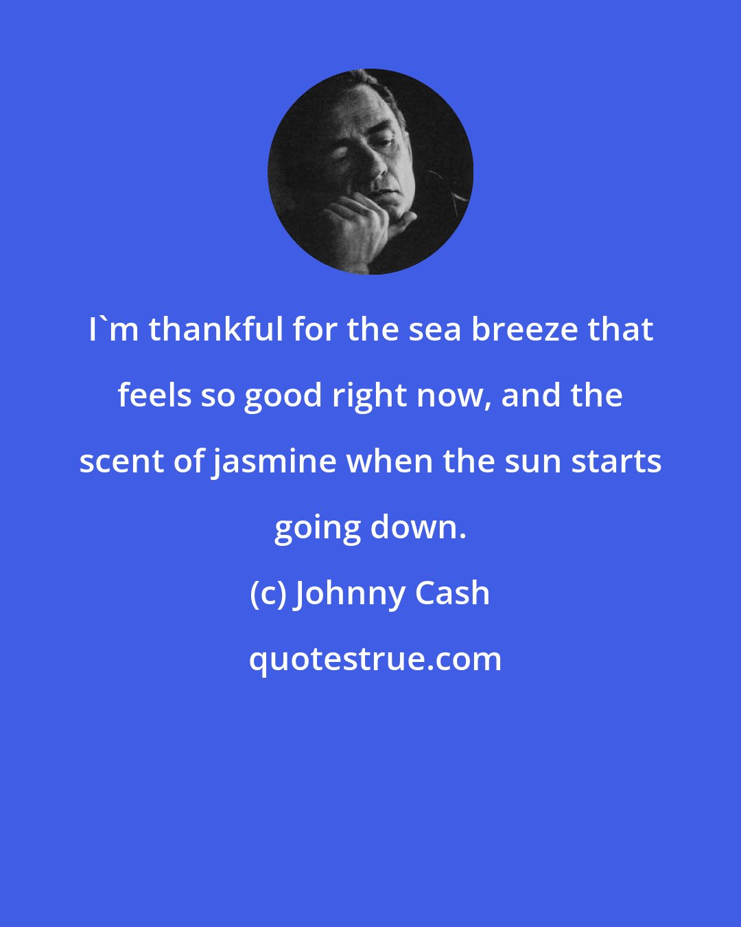 Johnny Cash: I'm thankful for the sea breeze that feels so good right now, and the scent of jasmine when the sun starts going down.