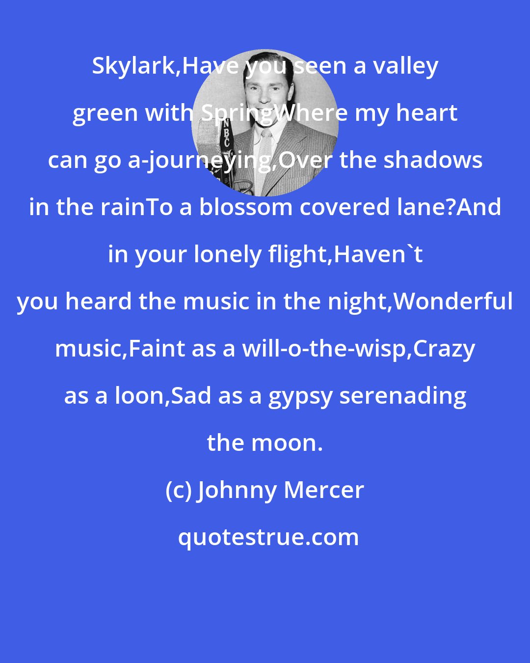 Johnny Mercer: Skylark,Have you seen a valley green with SpringWhere my heart can go a-journeying,Over the shadows in the rainTo a blossom covered lane?And in your lonely flight,Haven't you heard the music in the night,Wonderful music,Faint as a will-o-the-wisp,Crazy as a loon,Sad as a gypsy serenading the moon.