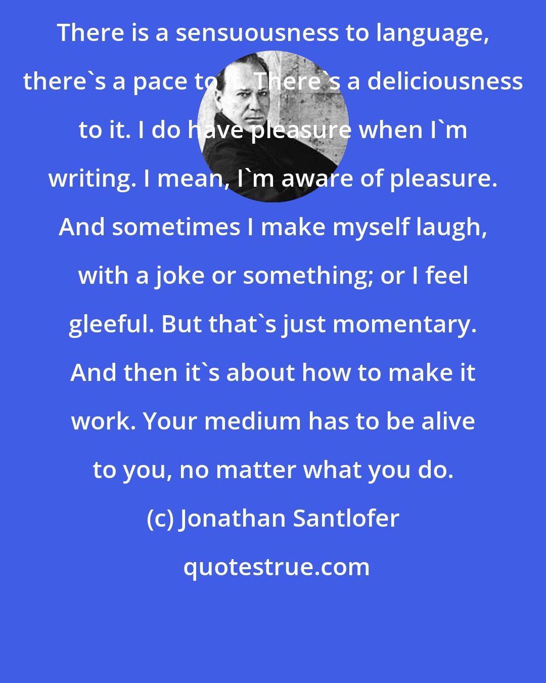 Jonathan Santlofer: There is a sensuousness to language, there's a pace to it. There's a deliciousness to it. I do have pleasure when I'm writing. I mean, I'm aware of pleasure. And sometimes I make myself laugh, with a joke or something; or I feel gleeful. But that's just momentary. And then it's about how to make it work. Your medium has to be alive to you, no matter what you do.