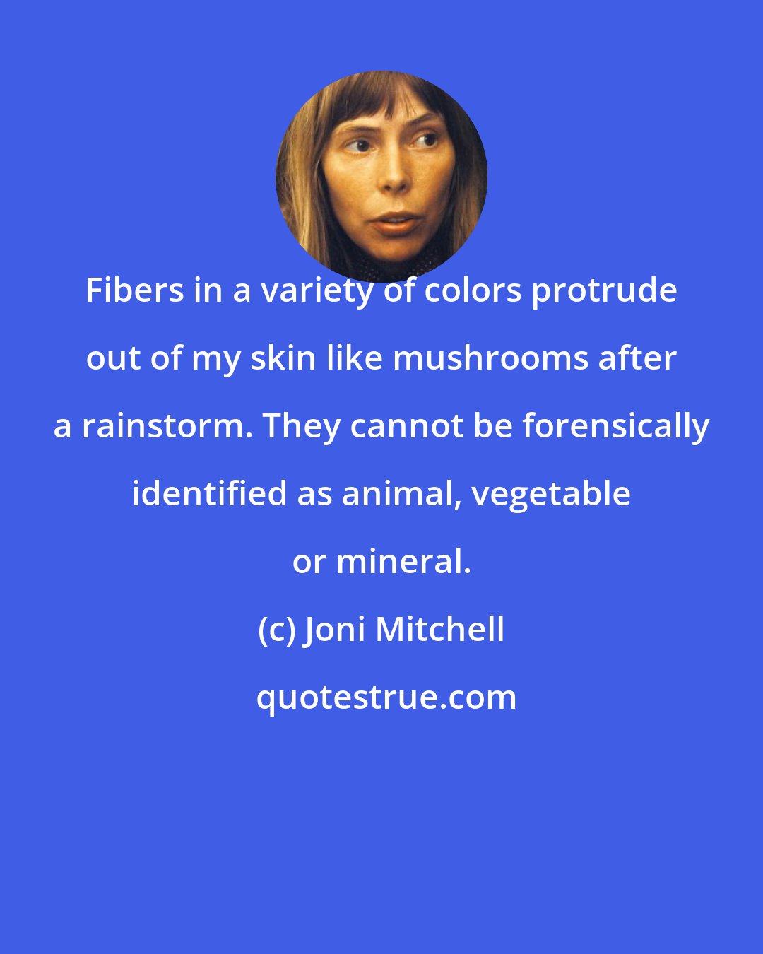 Joni Mitchell: Fibers in a variety of colors protrude out of my skin like mushrooms after a rainstorm. They cannot be forensically identified as animal, vegetable or mineral.