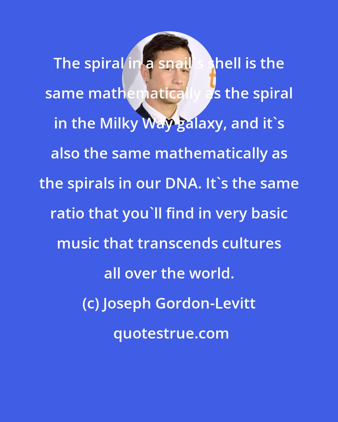 Joseph Gordon-Levitt: The spiral in a snail's shell is the same mathematically as the spiral in the Milky Way galaxy, and it's also the same mathematically as the spirals in our DNA. It's the same ratio that you'll find in very basic music that transcends cultures all over the world.