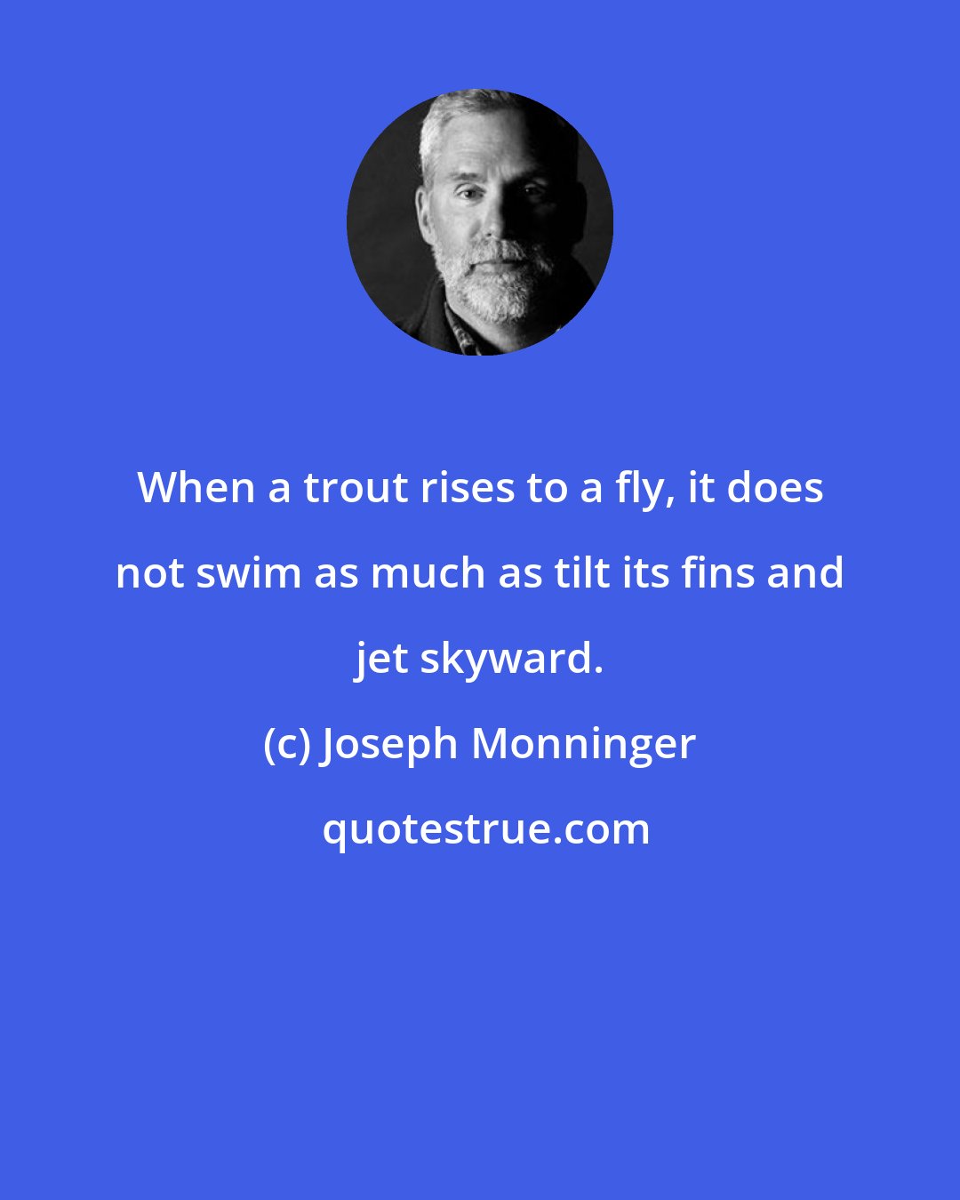 Joseph Monninger: When a trout rises to a fly, it does not swim as much as tilt its fins and jet skyward.