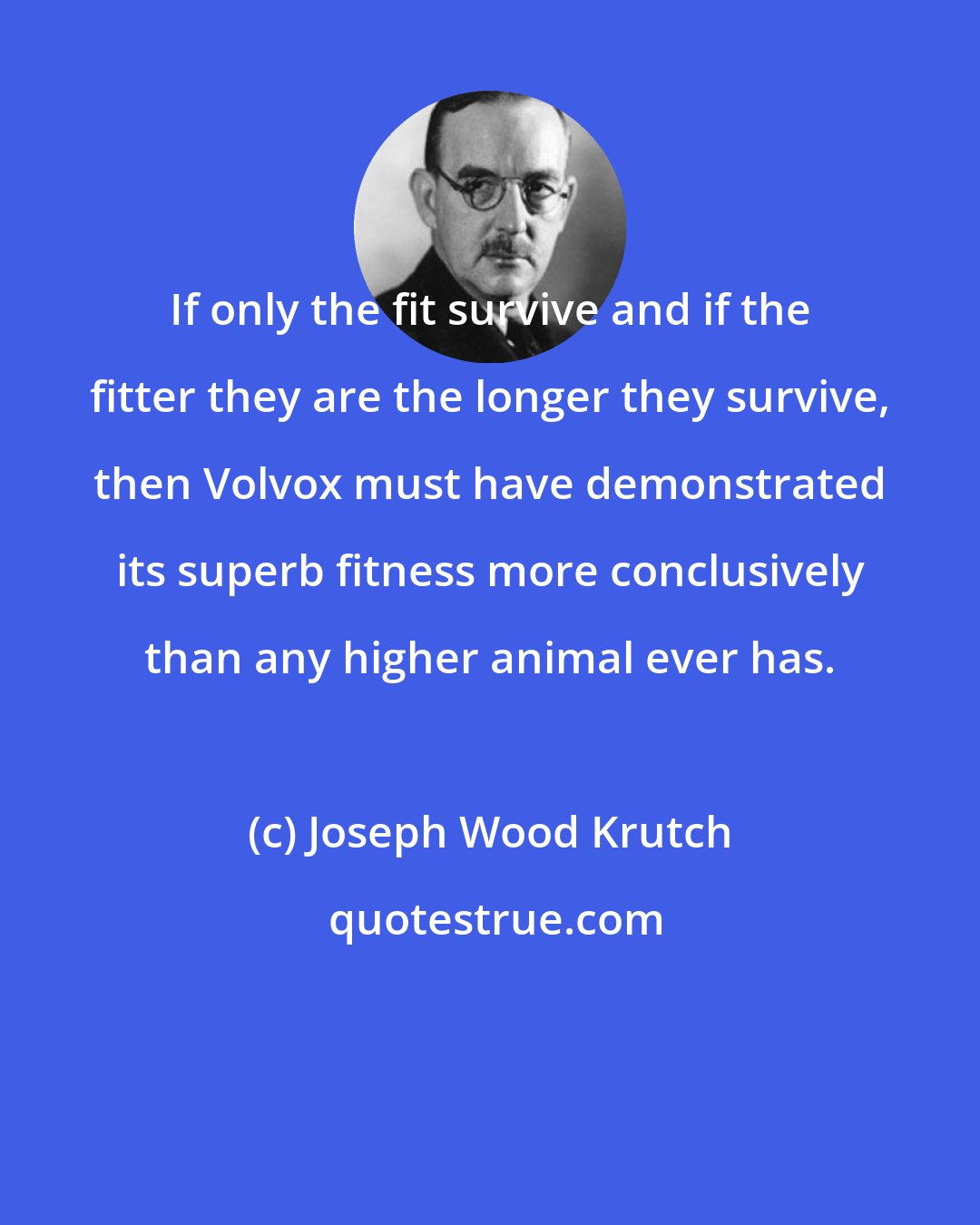 Joseph Wood Krutch: If only the fit survive and if the fitter they are the longer they survive, then Volvox must have demonstrated its superb fitness more conclusively than any higher animal ever has.