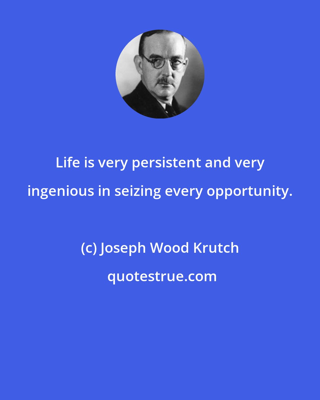 Joseph Wood Krutch: Life is very persistent and very ingenious in seizing every opportunity.